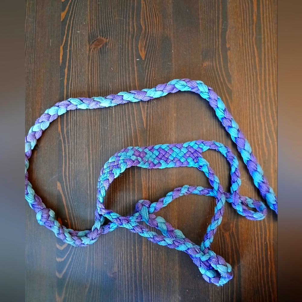 Small Horse Halter